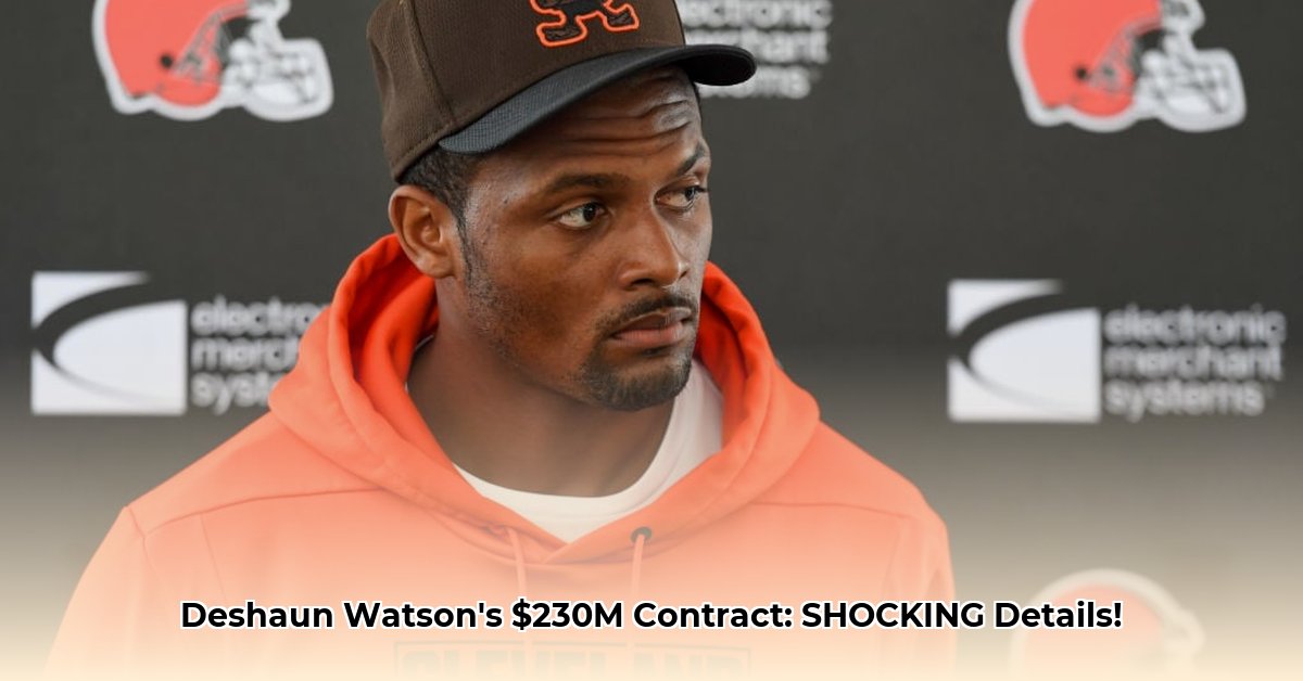 deshaun-watson-career-earnings